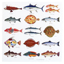 Sea Fish Greeting Card