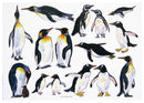 Penguins LARGE Greeting Card