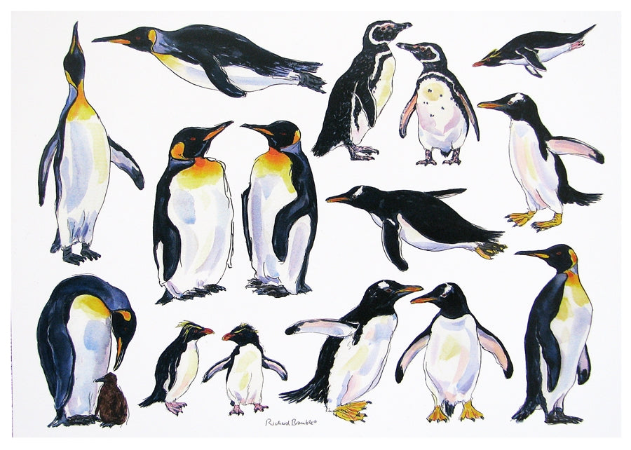 Penguins Greeting Card Large by Richard Bramble