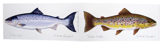  Richard Bramble Brown Trout & Salmon Greeting Card