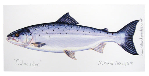 Richard Bramble Salmon Greeting Card