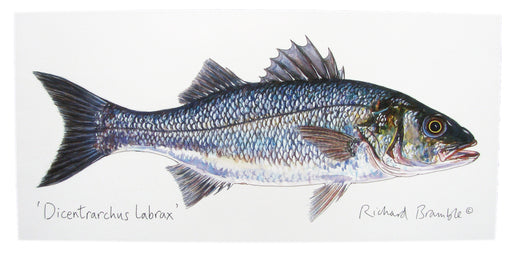 Sea Bass & John Dory Greeting Card | Richard Bramble