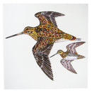 Snipe Greeting Card