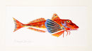 Gurnard Original Painting