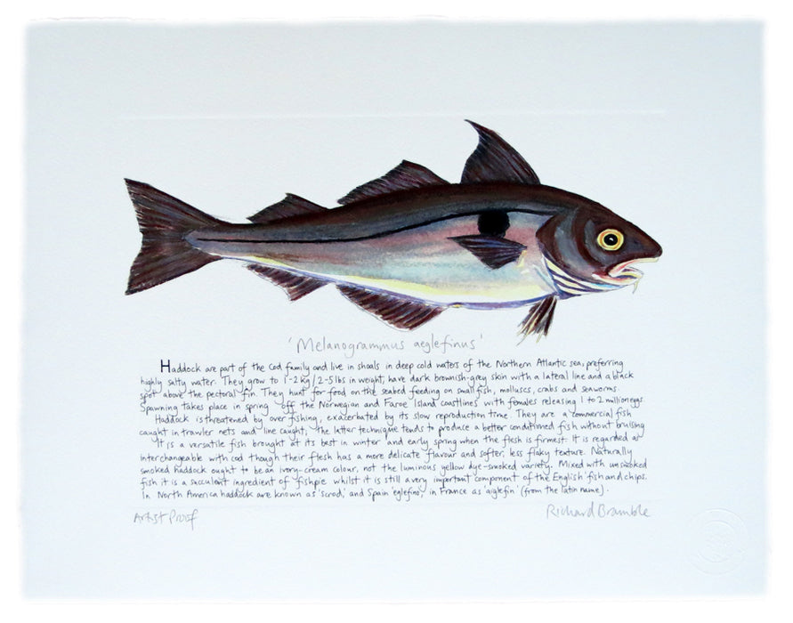 Haddock Print with text Richard Bramble