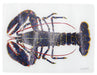 Richard Bramble Blue Lobster Heatstand & Surface Protector