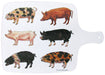 Pigs Melamine Boards by Richard Bramble
