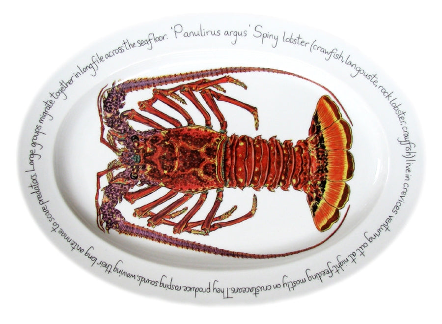 Spiny Lobster Crayfish Langouste Crawfish design by Richard Bramble 