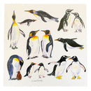 Penguins Square Greeting Card