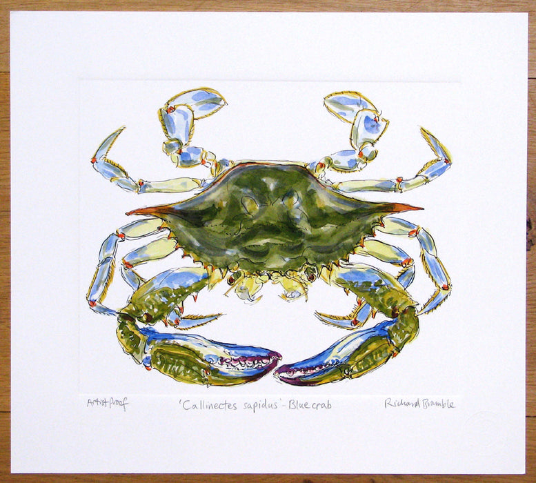Blue Crab by Richard Bramble