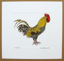 Cockerel and Rooster Print