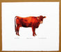 Dexter Heifer Cow print