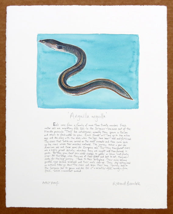 Eel swimming print blue background with text Richard Bramble