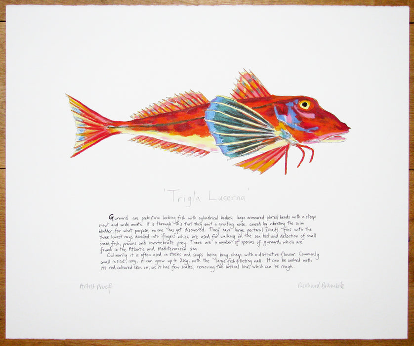 Gurnard with text by Richard Bramble