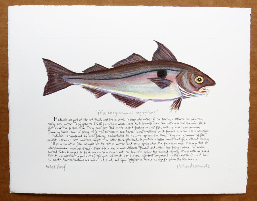 Haddock Print with text Richard Bramble