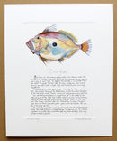 John Dory Print with text (portrait shape) print