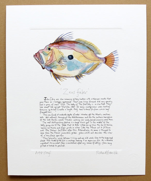 John Dory with text print