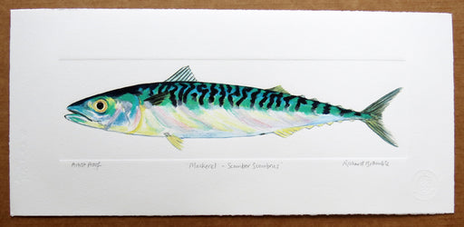 Mackerel Print by Richard Bramble