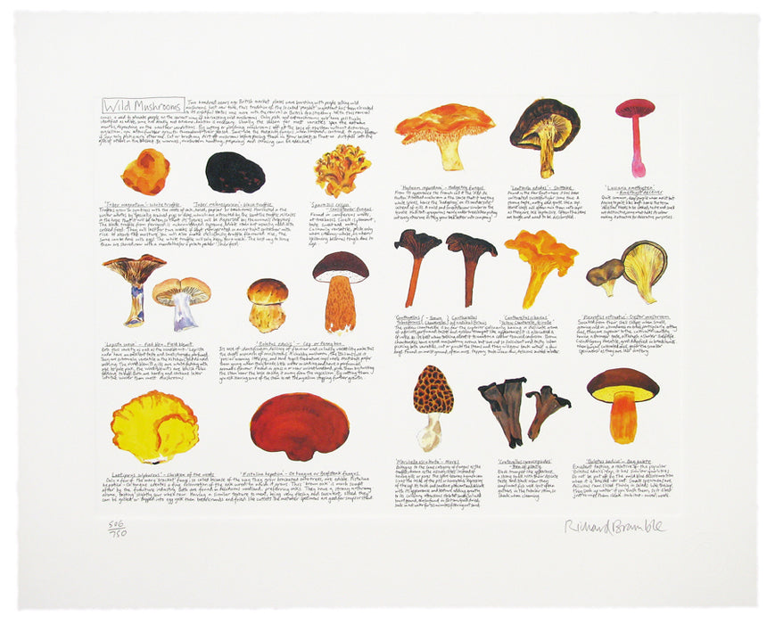 Wild Mushrooms print
