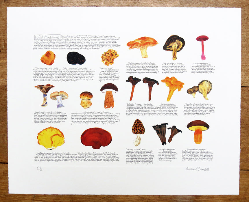 Richard Bramble limited edition Wild Mushrooms artist print