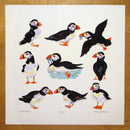 Puffins Limited Edition Print (Small & Large)