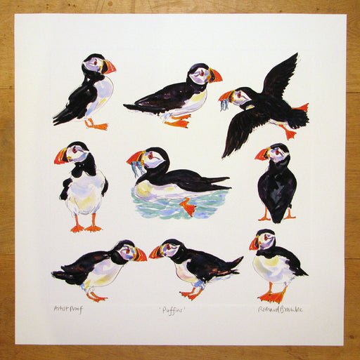 Puffins Limited Edition Print by Richard Bramble