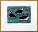 Puffins at Sea Print Print