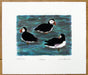 Puffins at Sea Print by Richard Bramble