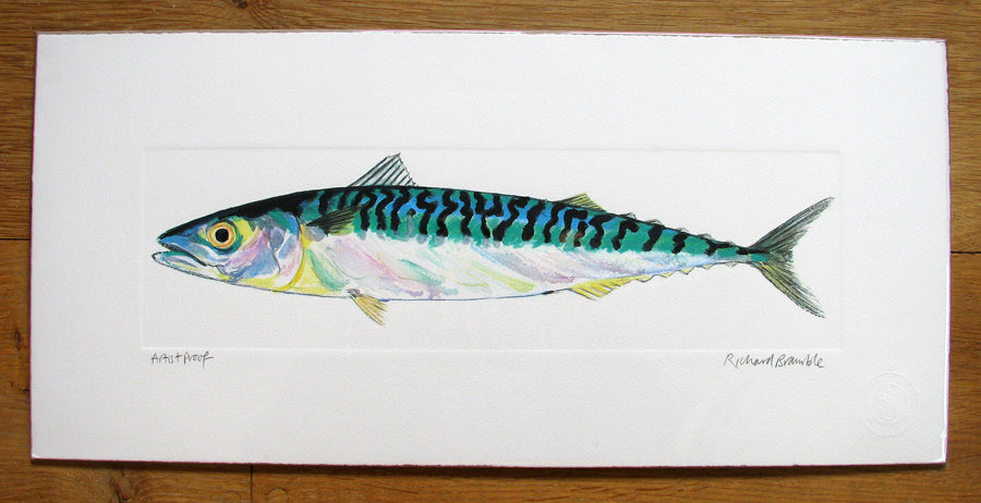 Mackerel Print by Richard Bramble