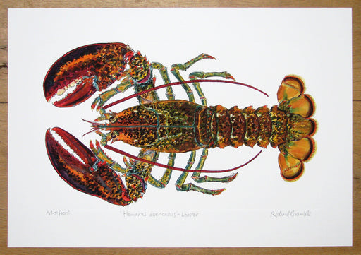 North American Lobster by Richard Bramble