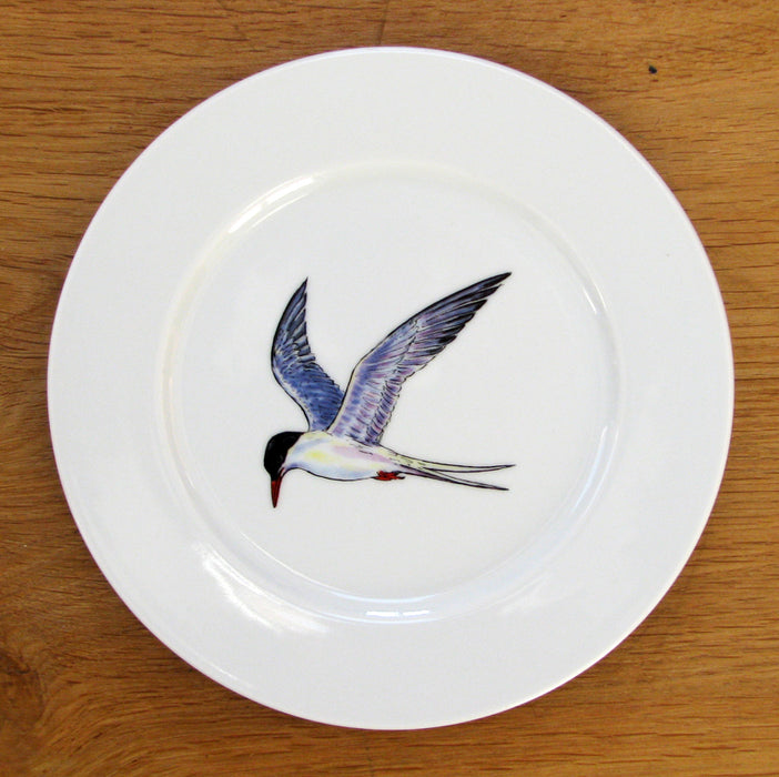 Tern 19cm plate