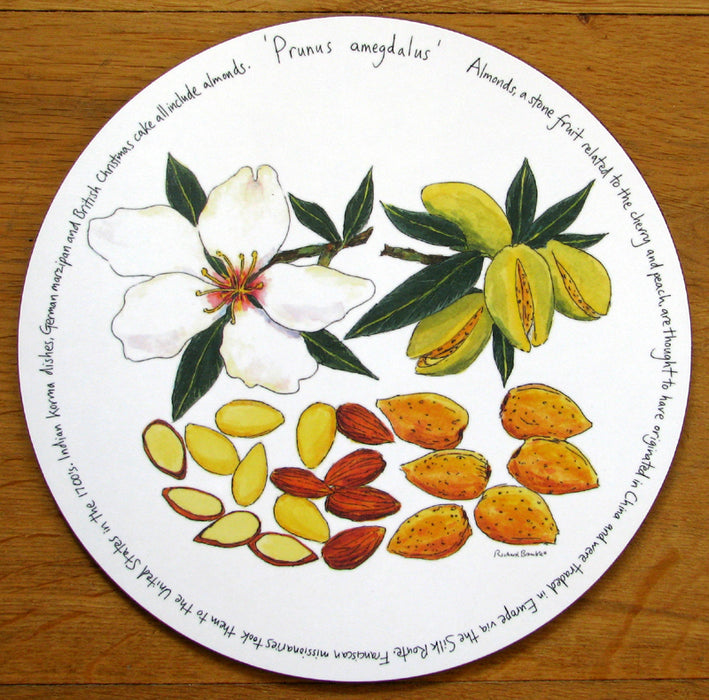 Almonds Tablemat by Richard Bramble