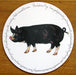 Berkshire Pig Tablemat by Richard Bramble