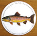 Brown Trout Tablemat by Richard Bramble