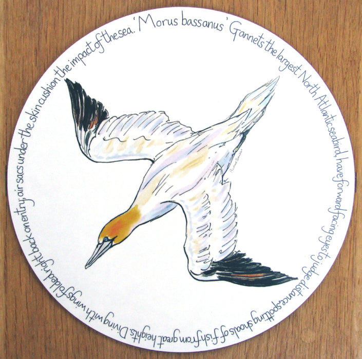 Gannet Diving Tablemat by Richard Bramble