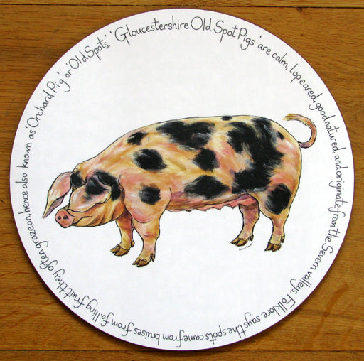 Gloucestershire Old Spot Pig Tablemat by Richard Bramble