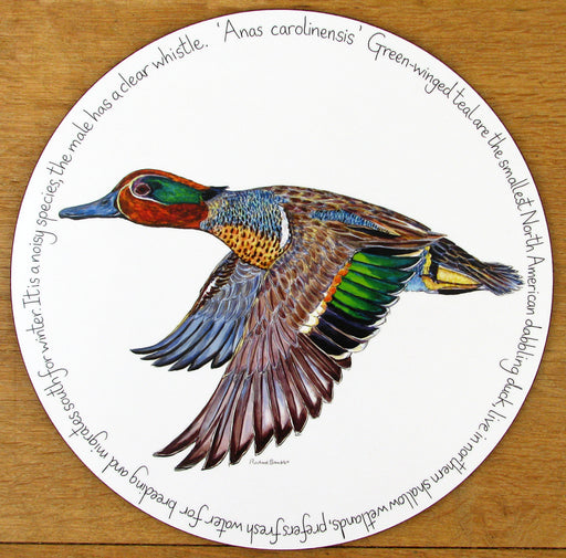 Green Winged Teal Tablemat by Richard Bramble