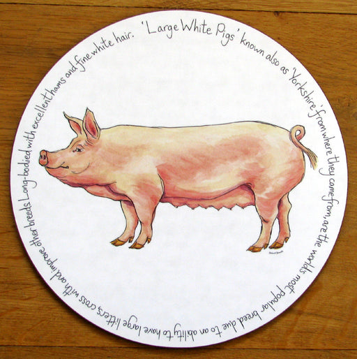 Large White Pig Tablemat by Richard Bramble