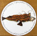 Monkfish Tablemat by Richard Bramble