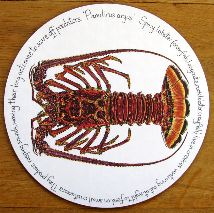 Spiny Lobster (Crawfish, Crayfish, Langouste) Tablemat by Richard Bramble
