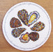 Richard Bramble Oysters Tablemat