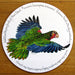 Bahama Parrot Tablemat by Richard Bramble