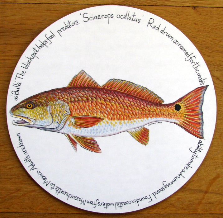 Red Drum Tablemat by Richard Bramble