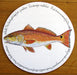 Red Drum Tablemat by Richard Bramble