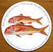 Red Mullet Tablemat by Richard Bramble