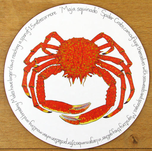 Spider Crab Tablemat by Richard Bramble