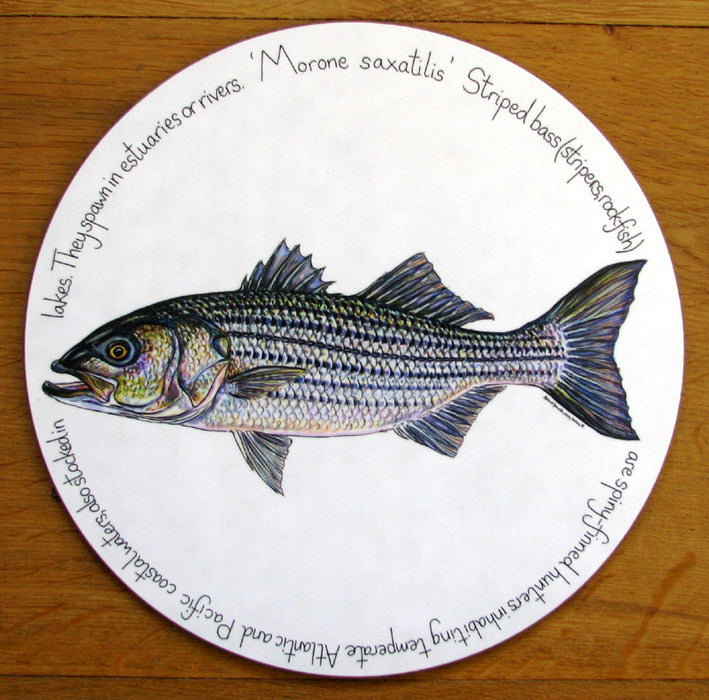 Striped Bass Tablemat by Richard Bramble