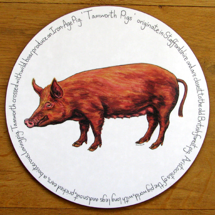Tamworth Pig Tablemat by Richard Bramble