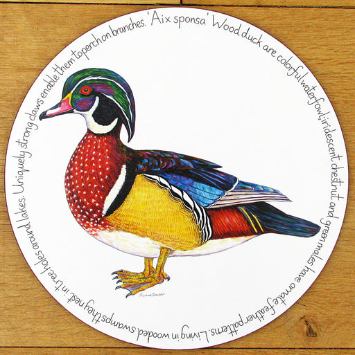 Wood Duck Tablemat by Richard Bramble