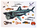 British Marine Species Tea Towel, Basking Shark